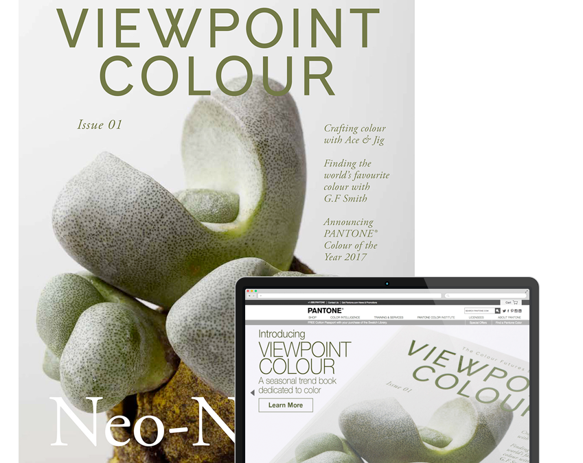 viewpointcolour-template-feature